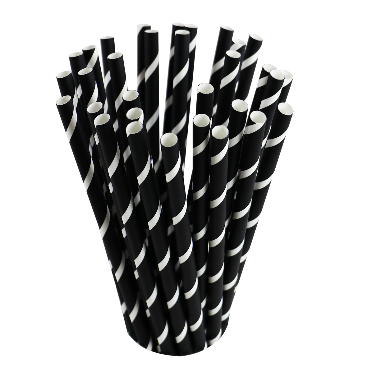 Straws Paper Black White Striped